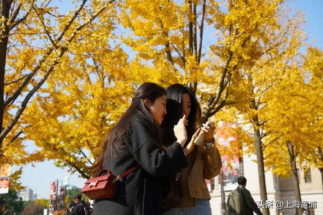 市中心的“金色会客厅”，成为了最欢乐的海洋！