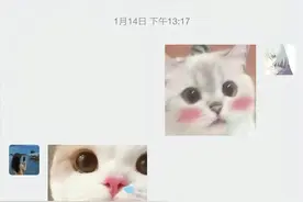 国服陪玩胖猫，跳江原因被姐姐曝出，女主2年索要51万图片