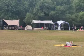 上海的公园里，意外多次发生！孩子被戳破额头，老人被绊倒骨折……露营存在安全隐患图片