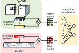科研绘图效率全能软件：Adobe illustrator教程—流程图绘制！图片