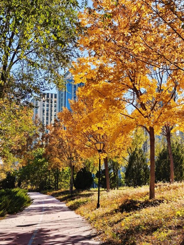 快看！京西福地门头沟已经满是秋天的颜色——