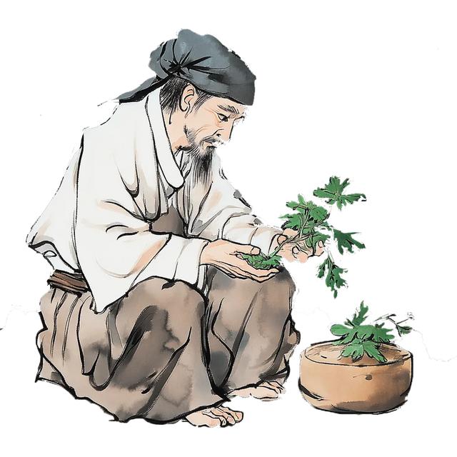天府药市“进山”、户外文旅“融药”，彭州龙门山镇徒步热催生融合发展新场景