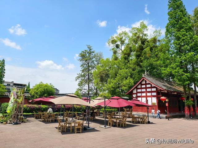 成都古镇（14）郫县唐昌古镇文庙、翰林府&美食