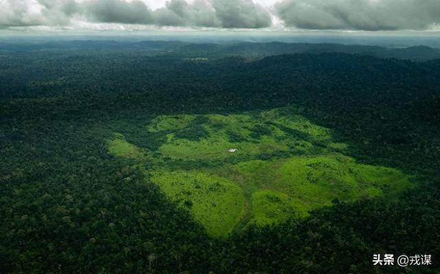 地球“体检报告”亮红灯？1.5万科学家在线急劝：别瞎折腾了！