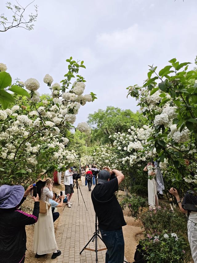 重庆铁山坪森林公园轻徒步路线