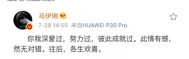 钱再多也没用！向太曝马伊琍已再婚：原来当年文章过不了心里那关