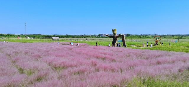 孝感的秋天很短，但这些美好很长｜秋日治愈这6个理由让我去了3次