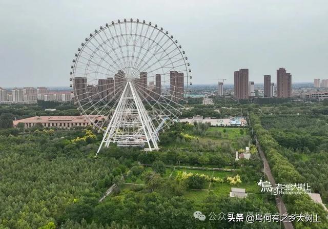 武威植物园里暗藏“蝴蝶楼”,曾是大军阀马步青的私人别墅