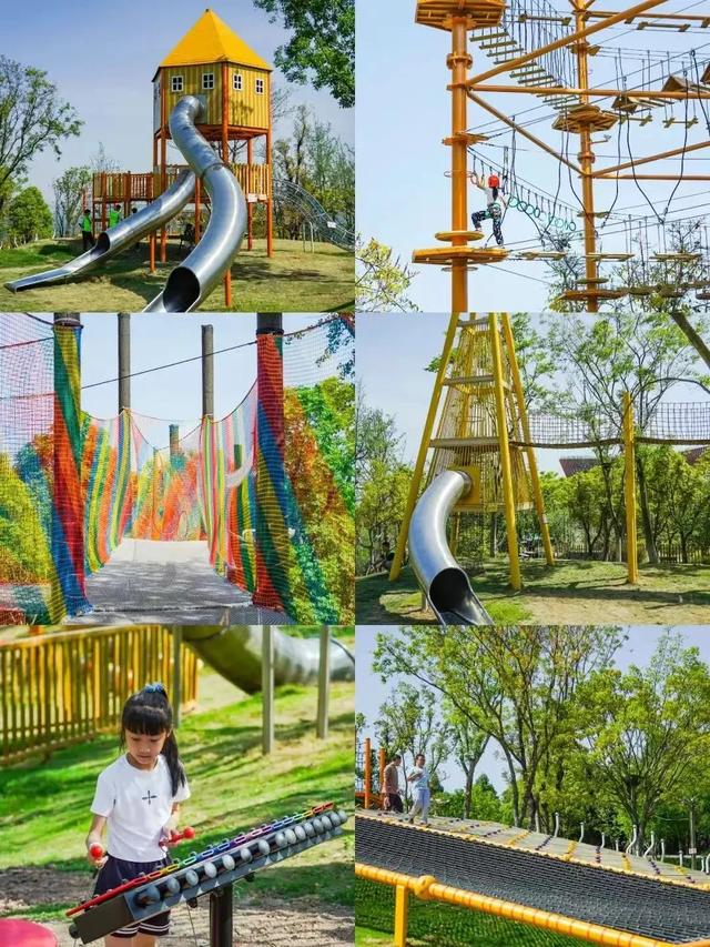 成都秋游宝藏地，周末徒步遛娃看彩林，人少景美还免费，冲鸭！