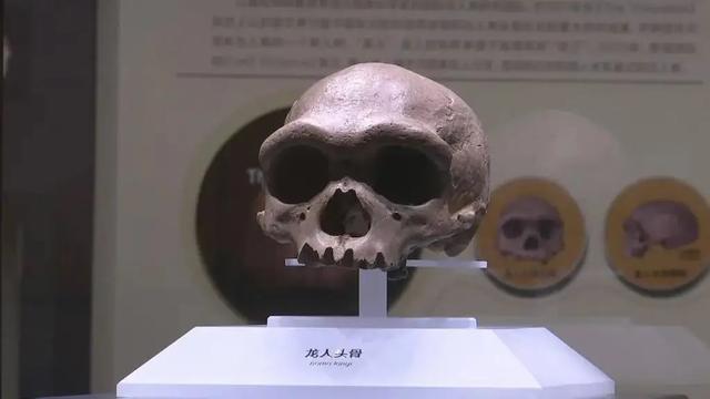 等你来打卡！河北两大新晋博物馆相继试运行