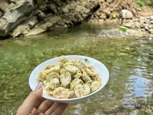 热 ҈ 热 ҈ 热 ҈ ！🥵快躲进黄坪25℃的清凉秘境🧊🫧