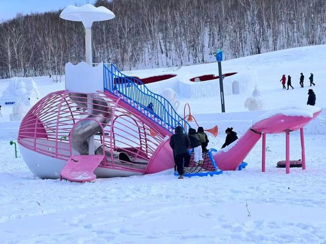 牙克石：大雪节气至 雪域盛景开