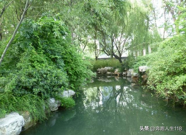 夏日炎炎，泉城戏水，不辞长作济南人