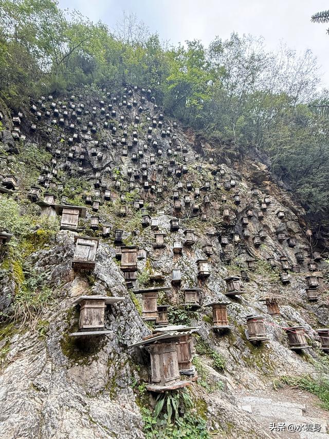 北京自驾长江三峡、神农架之旅（6）