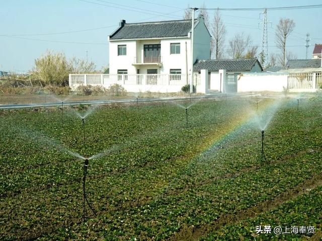 ​​诗游五四村：来一场诗词与金色田园​的浪漫邂逅