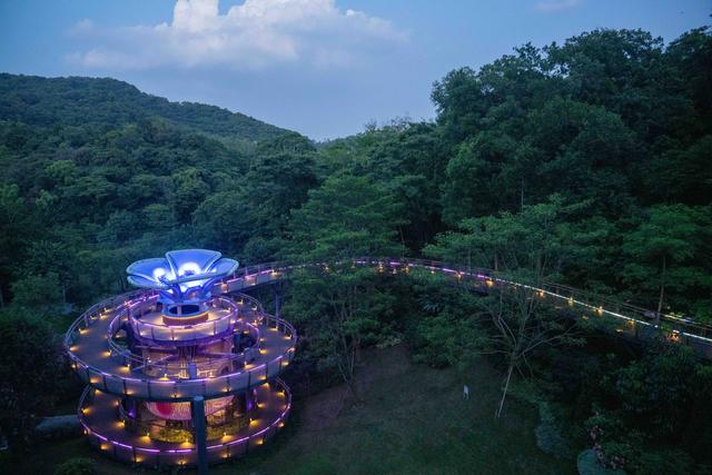 广州亲子研学，夜游植物园，走进大自然的夜课堂
