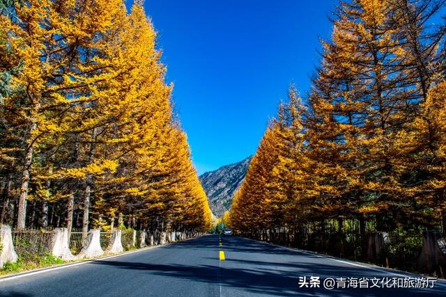 秋风叩黄南，一场与山水私语的秋日浪漫邀约