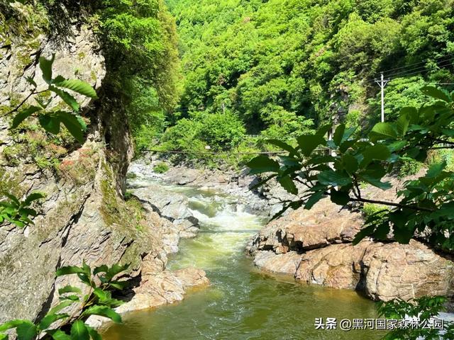 西安山美水美的清凉秘境！夏天来黑河避暑旅游太爽了！
