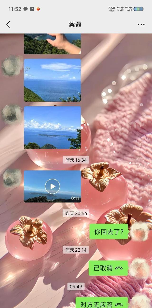 蔡磊遗骸已找到！在未开发区域，曝头身分离，只有手机丢失引争议