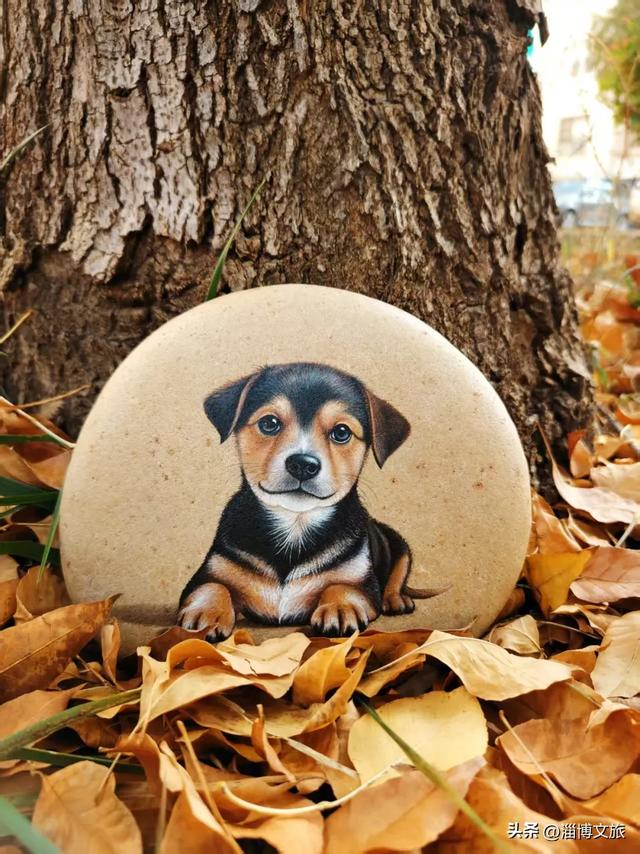 定了!12月6日-7日,就在淄博这里→