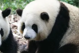 “五一”前三天 全省A级景区接待游客1627.04万人次图片