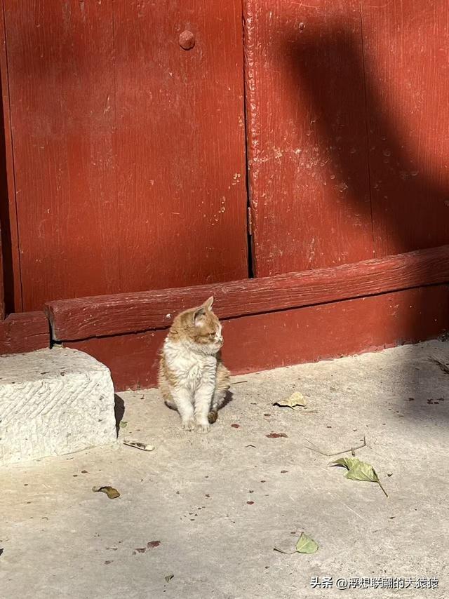 石斑鸠村，一座大山深处有着古老历史和众多红色革命故事的小山村