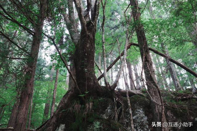 索尼 RX1R III 评测——口袋里的高品质街拍相机