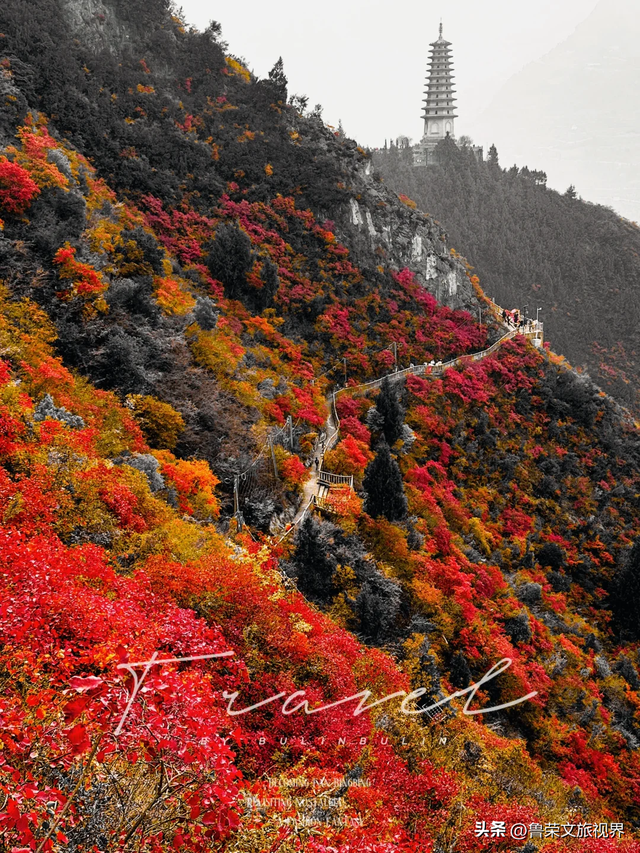 徒步三峡：霜叶漫山处，一步一千年