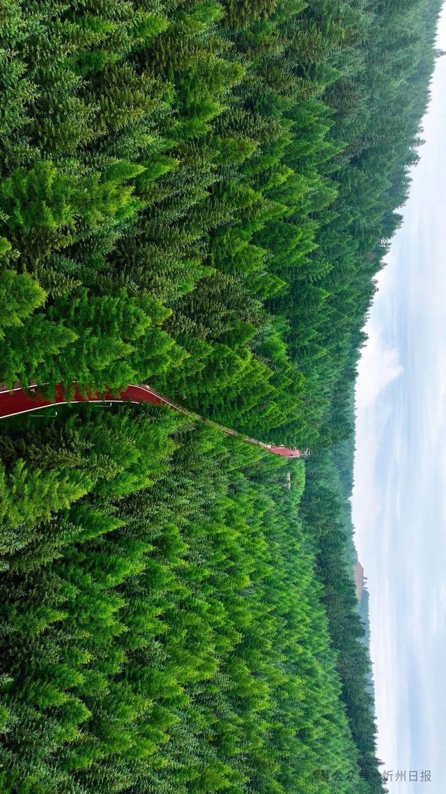 管涔山：华北大地上的山水传奇