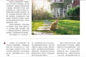 租客养流浪猫狗导致别墅受损，房东如何索赔？图片