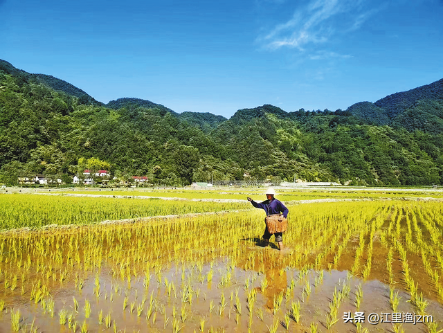 西川：秦岭深处的水墨长卷