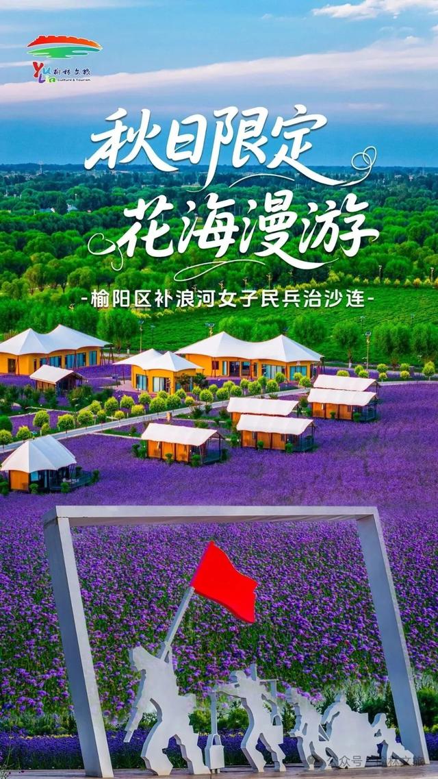 赏花事，醉秋风！花漾补浪河~