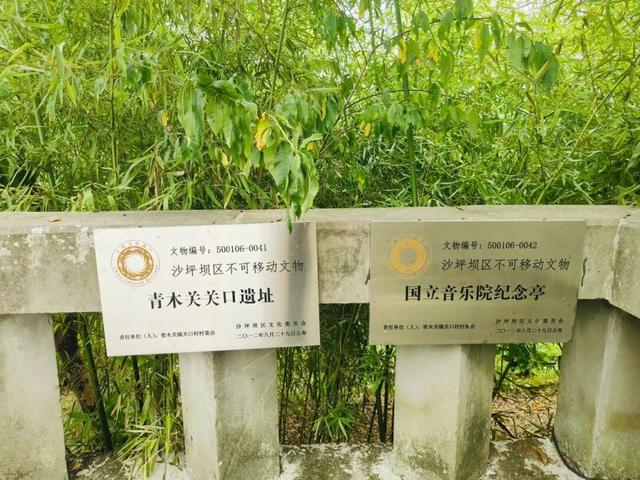 重庆沙坪坝发现神秘洞府，满壁文字暗藏玄机，主人疑是避世高人