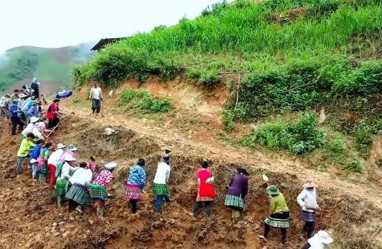 首次发现仅3株，25年云南又发现2株，网友：不稀奇	，老家遍地都是