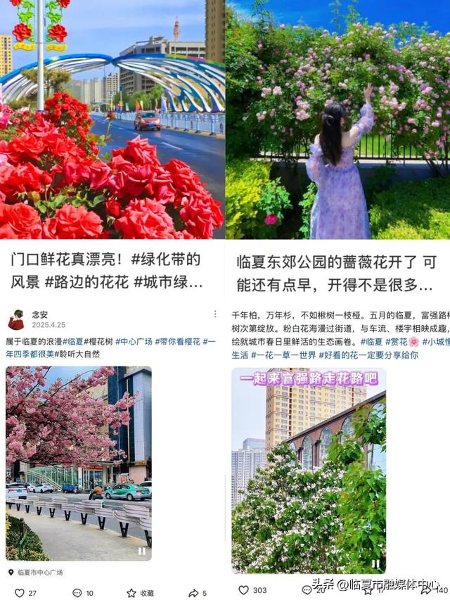 临夏市：一座把“浪漫”写进马路牙子的城市