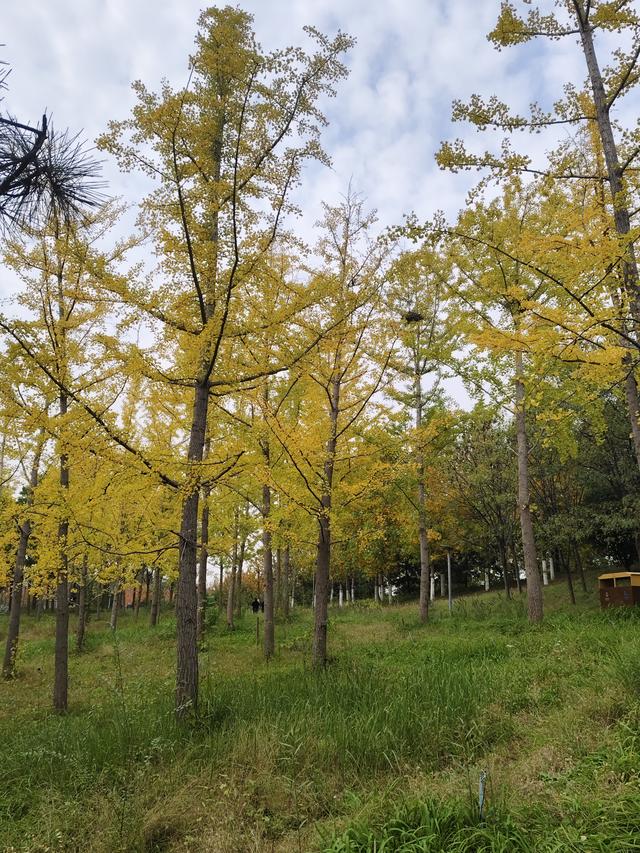 徒步穿越西流湖，赏秋正当时