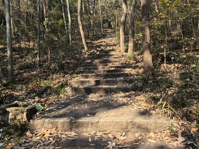 南京紫金山郊野徒步