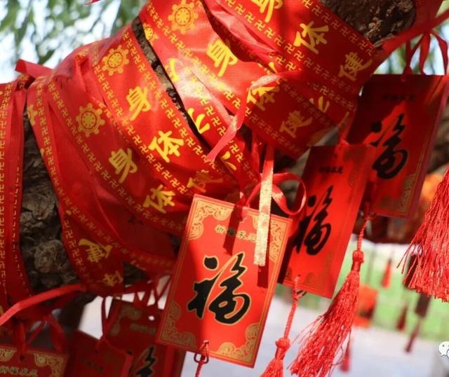 谢师恩 游洽川 与山水撞个满怀 洽川景区九月优惠活动火热进行中