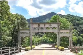散文 | 李秋保：喝茶梅家坞图片