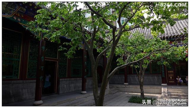 山东行游影记（6）—济南趵突泉（六）