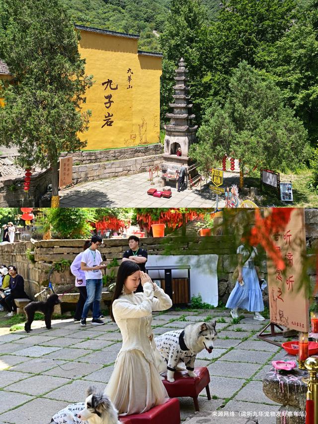 这个8月，拖猫带狗闯江南竹海~