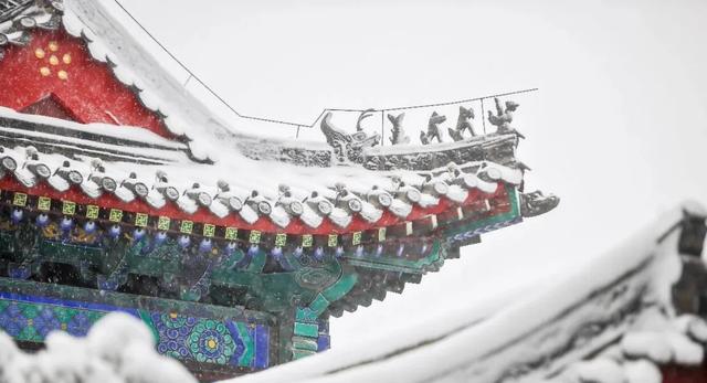 听说初雪，总与想念同来 | 台儿庄的雪已翩跹，你的城市下雪了吗？