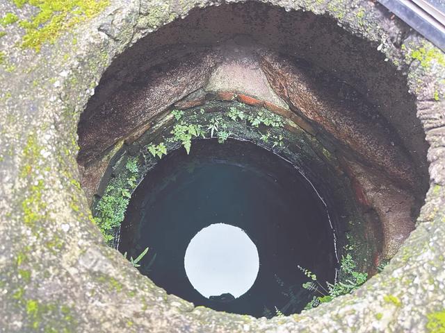 阳江历史文化街区探源⑦ | 深巷锁人间烟火 老街传春秋岁月
