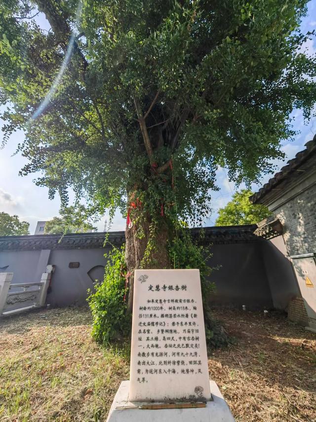 踏迹寻旅：如皋，以古色、绿色、银色、红色和金色“五色”美誉