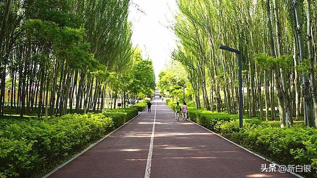白银的夏天 原来可以这么带感