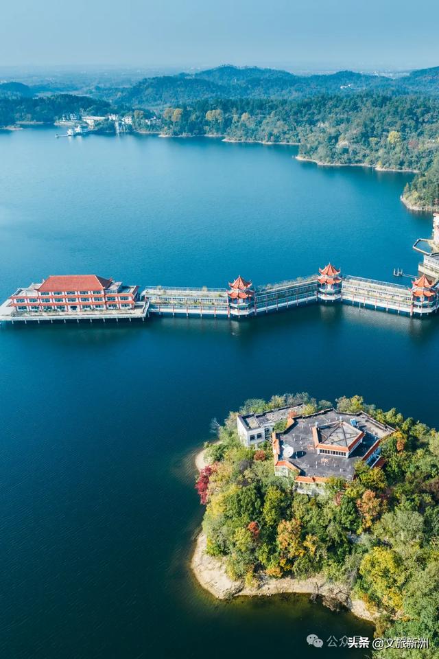 别去日本了!新洲的“同款”风景,美得更懂你