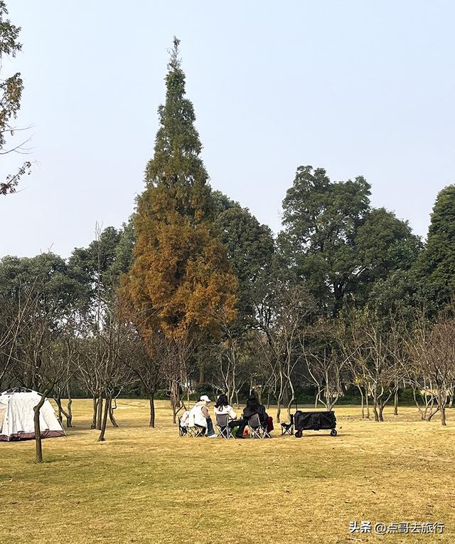 成都城市中的草原牧场，彩林比阿勒泰还美，公交车地铁直达！