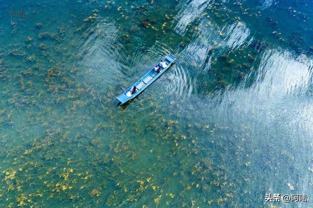 普洛码头的位置比较隐秘,却是泸沽湖的“花海C位”,风景美如画