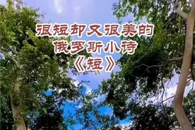 俄罗斯小诗《短》告诉我们：过好今天，让它成为最好的昨天！图片