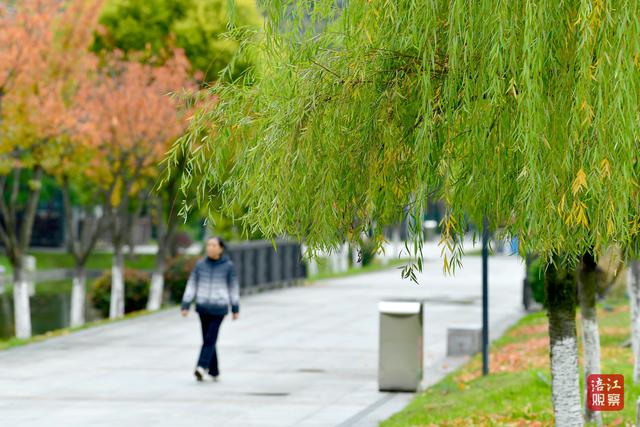 初冬时节，层林尽染，心随景动